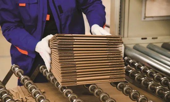 Paper packaging market projected to reach £400bn by 2033